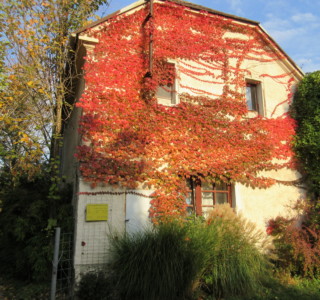 Infrapanely TEMPERO BRNO Infrapanely TEMPERO BRNO